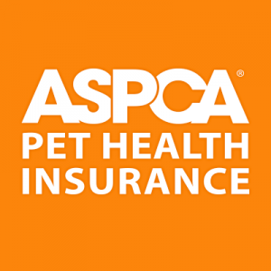 Get your  day  Free Trial Now!