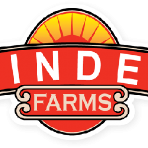 Get your  day  Free Trial Now!